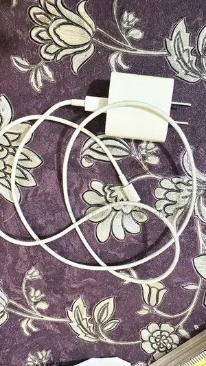 Apple 20W Original Charger