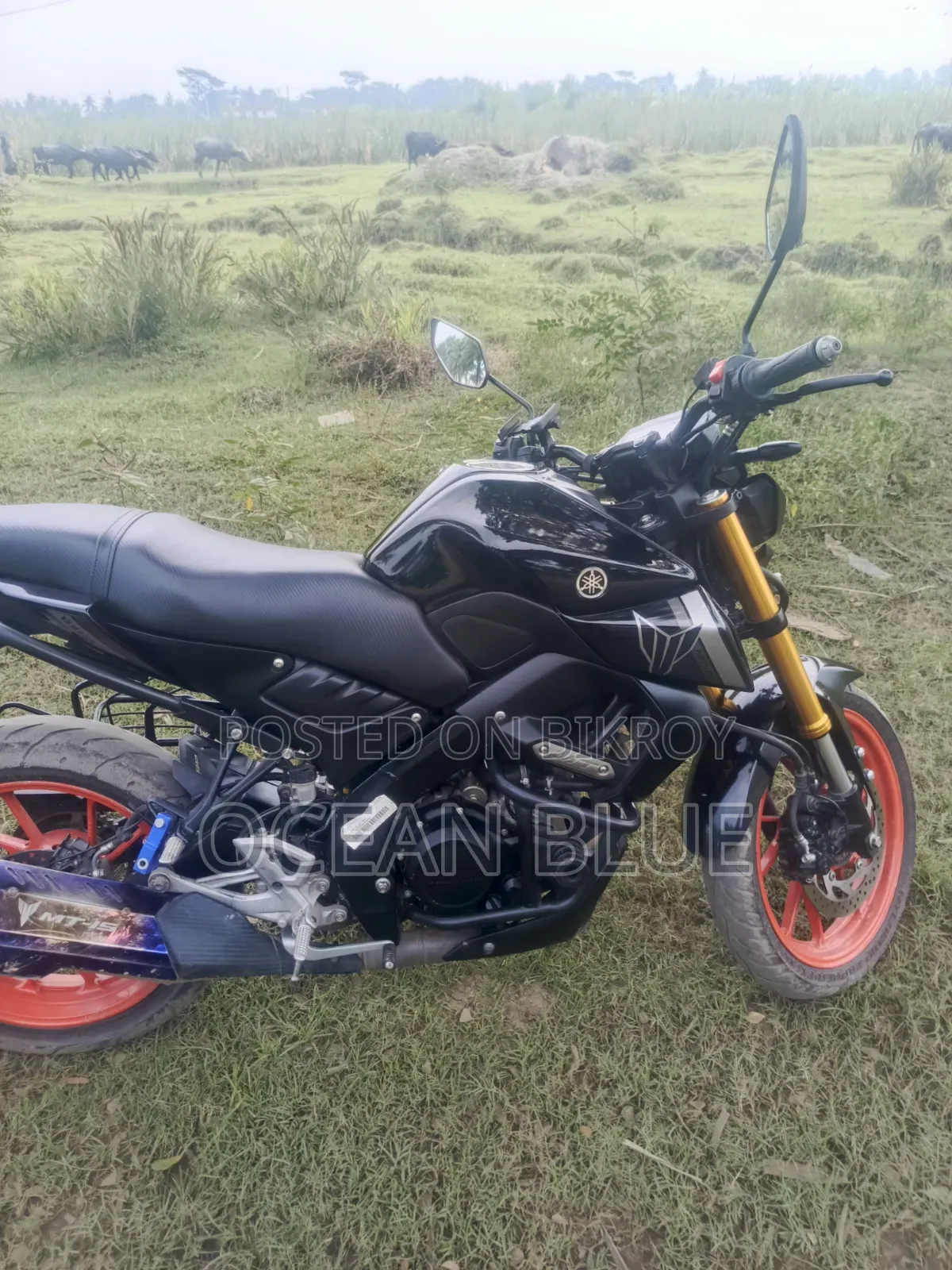 Yamaha MT-15 2025 Black