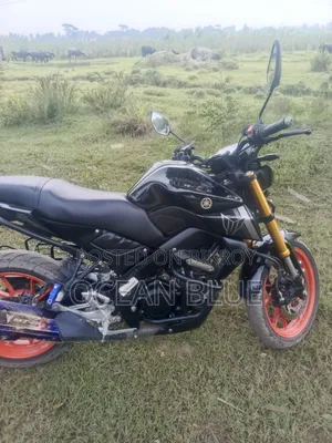 Yamaha MT-15 2025 Black
