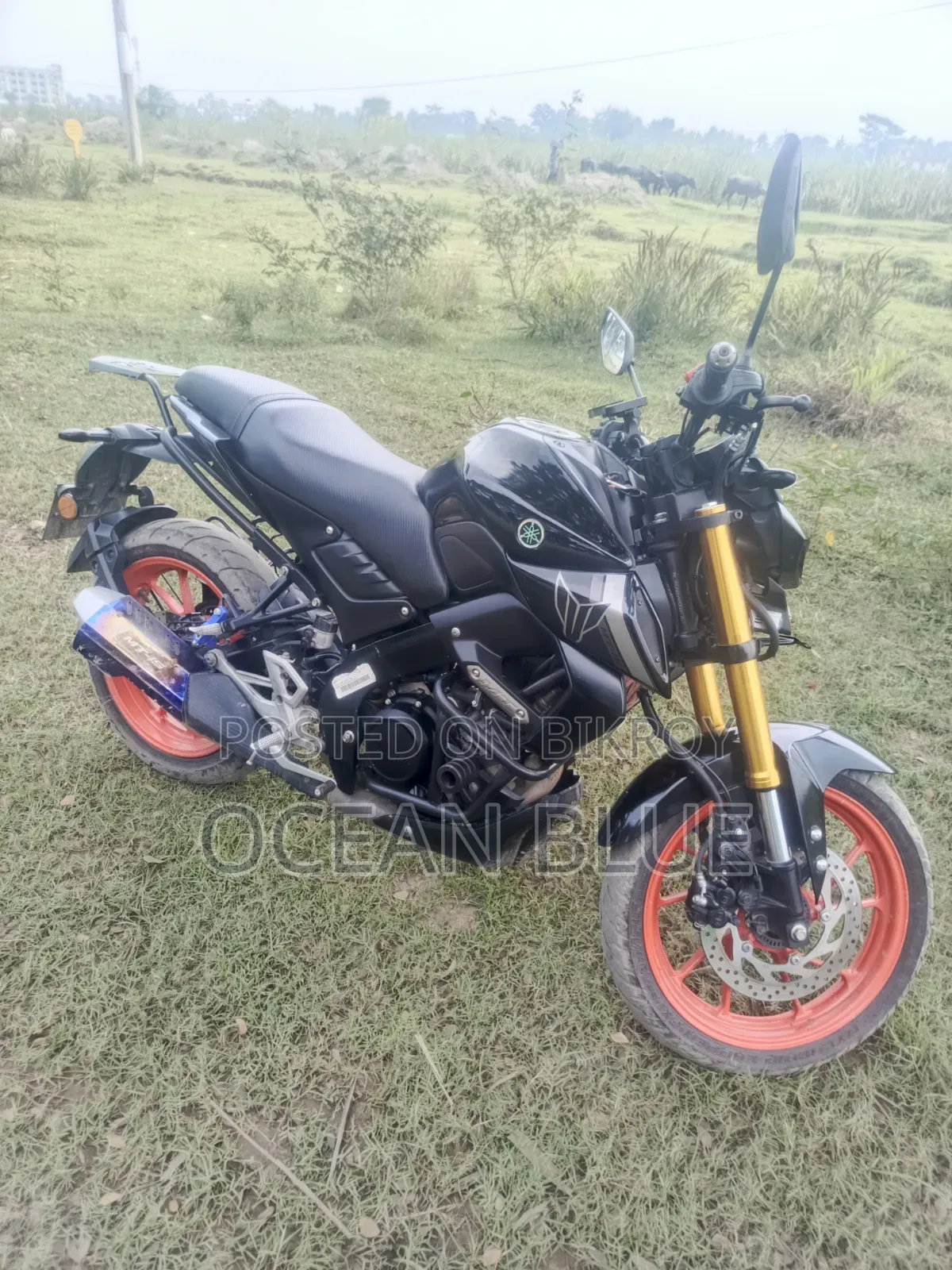 Yamaha MT-15 2025 Black