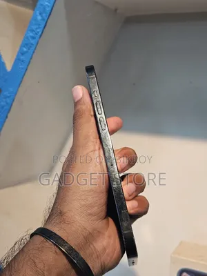 Apple iPhone 12 Pro Max 256 GB Blue