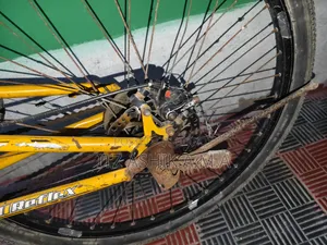 Emergency Sell Bicycle