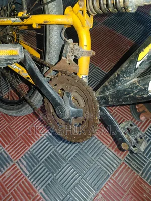 Emergency Sell Bicycle