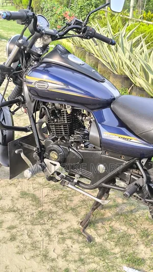 Bajaj Avenger 150 Street 2017 Blue