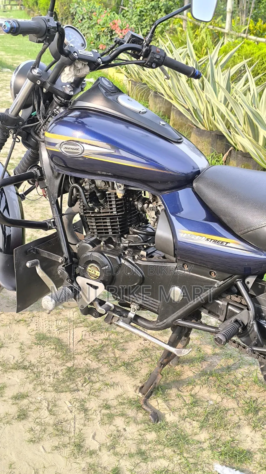 Bajaj Avenger 150 Street 2017 Blue