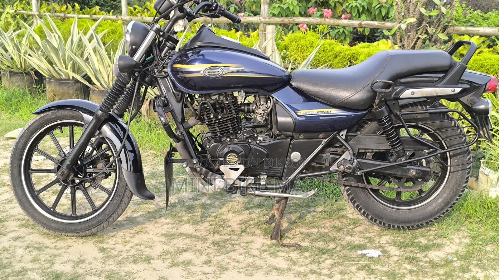 Bajaj Avenger 150 Street 2017 Blue
