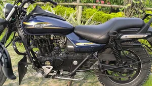 Bajaj Avenger 150 Street 2017 Blue