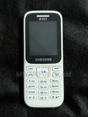 Samsung Guru Music 2