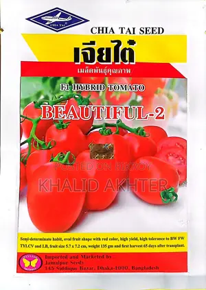 টমেটো বীজ