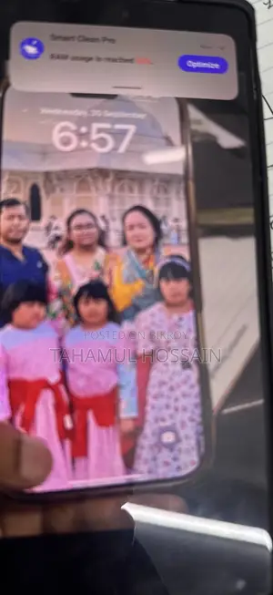 অ্যাপল আইফোন ১৬ প্রো ম্যাক্স ২৫৬ জিবি রোজ গোল্ড