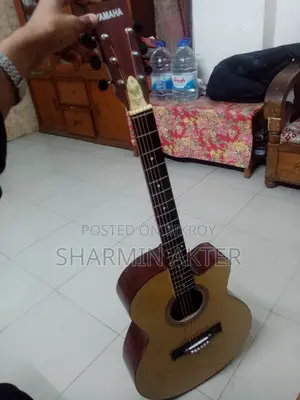 ব্র্যান্ড নিউ গিটার