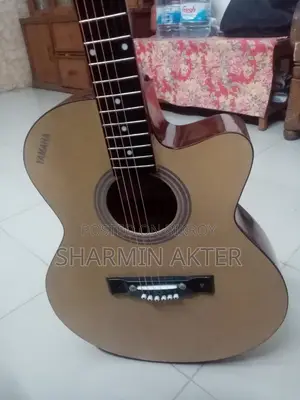 Brand New Guitar