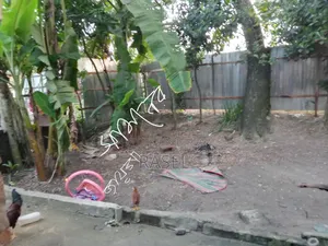 রূপসায় বাড়িসহ ২ বেডরুমের জায়গা বিক্রি হবে