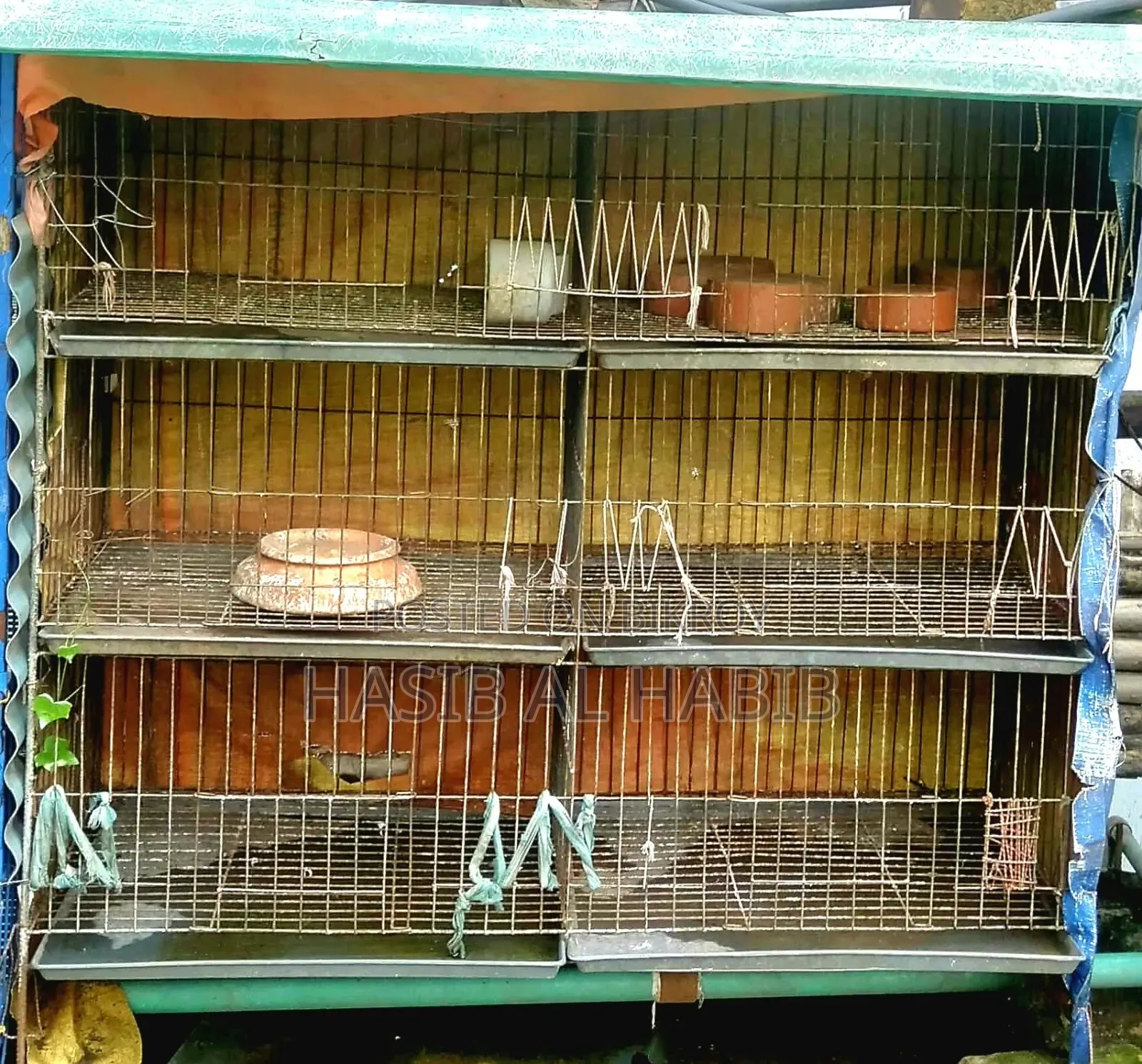 ৬ খোপের খাচা