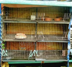 ৬ খোপের খাচা