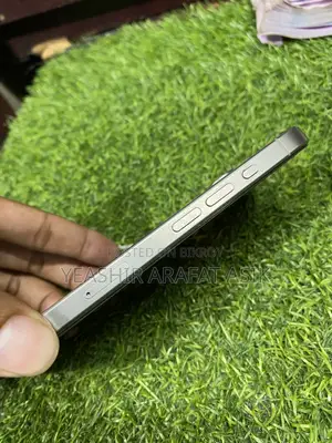 Apple iPhone 15 Pro Max 256 GB Silver