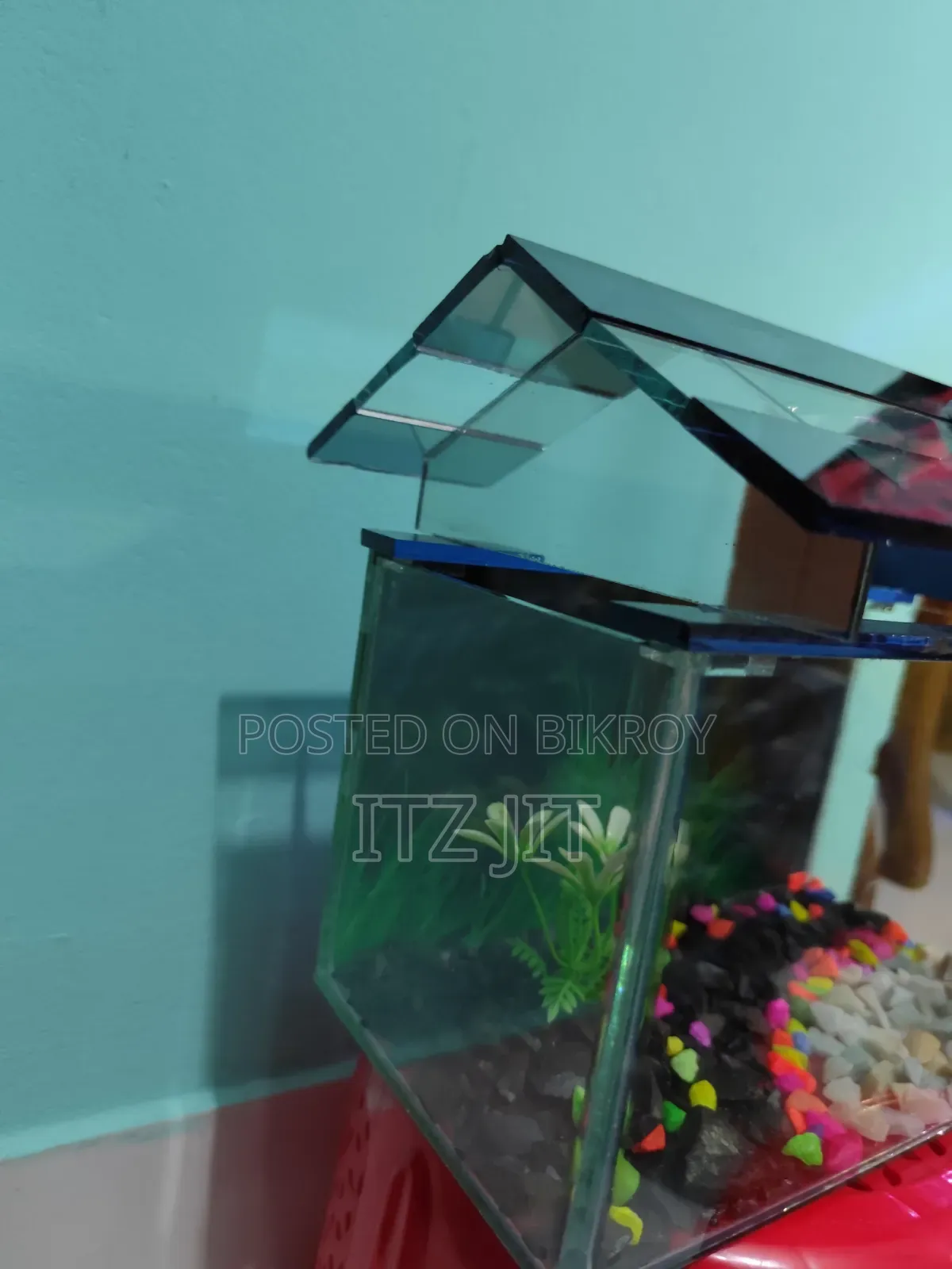 ১ ফিট বায় ৭ উচ্চতা ১১ ইঞ্চ ঢাকনা সহ একুরিয়াম