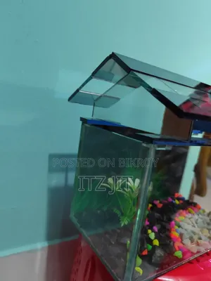 ১ ফিট বায় ৭ উচ্চতা ১১ ইঞ্চ ঢাকনা সহ একুরিয়াম