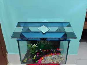 ১ ফিট বায় ৭ উচ্চতা ১১ ইঞ্চ ঢাকনা সহ একুরিয়াম