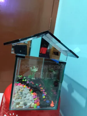 ১ ফিট বায় ৭ উচ্চতা ১১ ইঞ্চ ঢাকনা সহ একুরিয়াম