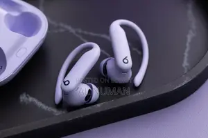 বিটস পাওয়ারবিটস প্রো