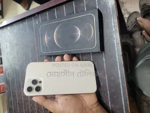 অ্যাপল আইফোন ১২ প্রো ম্যাক্স ২৫৬ জিবি রোজ গোল্ড