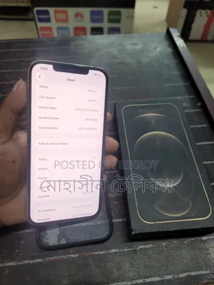 অ্যাপল আইফোন ১২ প্রো ম্যাক্স ২৫৬ জিবি রোজ গোল্ড