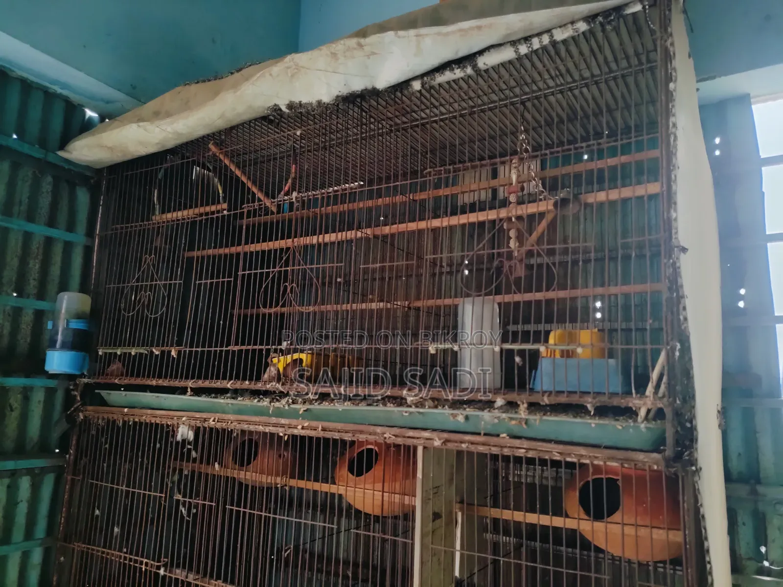 ২ টা '৩৬×১৮ ইঞ্চ' হেভি মেটাল ফ্রেমের খাঁচা