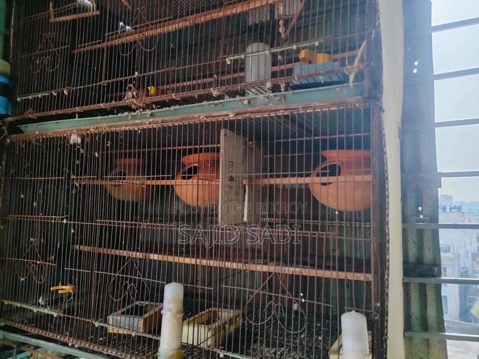 ২ টা '৩৬×১৮ ইঞ্চ' হেভি মেটাল ফ্রেমের খাঁচা