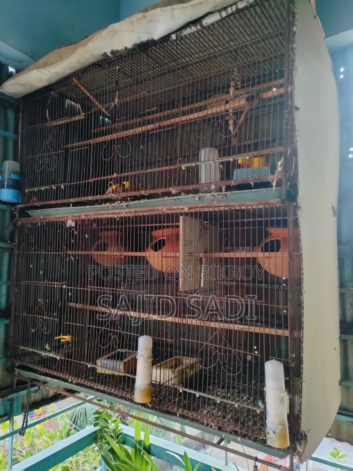 ২ টা '৩৬×১৮ ইঞ্চ' হেভি মেটাল ফ্রেমের খাঁচা