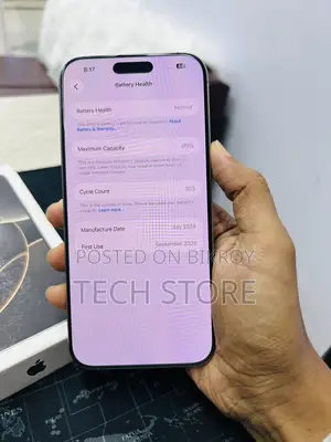 অ্যাপল আইফোন ১৬ প্রো ম্যাক্স ২৫৬ জিবি সিলভার