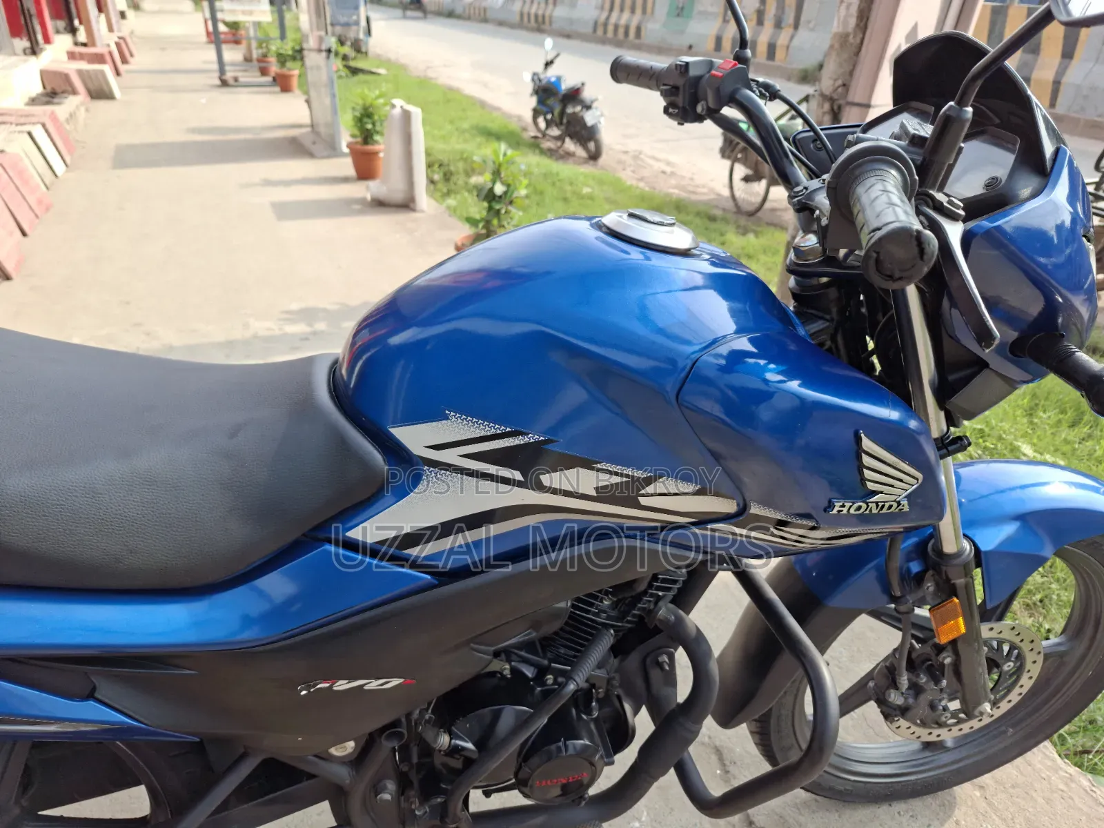 Honda Livo 2021 Blue