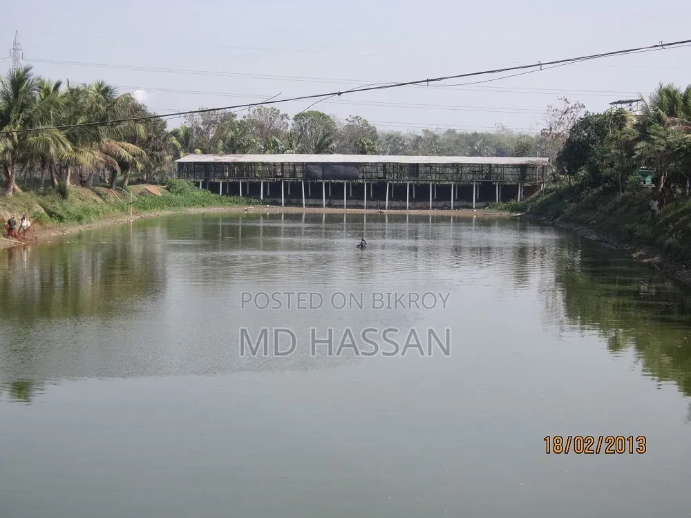 10.46 Acre Ready Poultry Hatchery and Fish Farm Sell