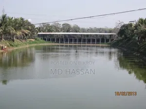 10.46 Acre Ready Poultry Hatchery and Fish Farm Sell