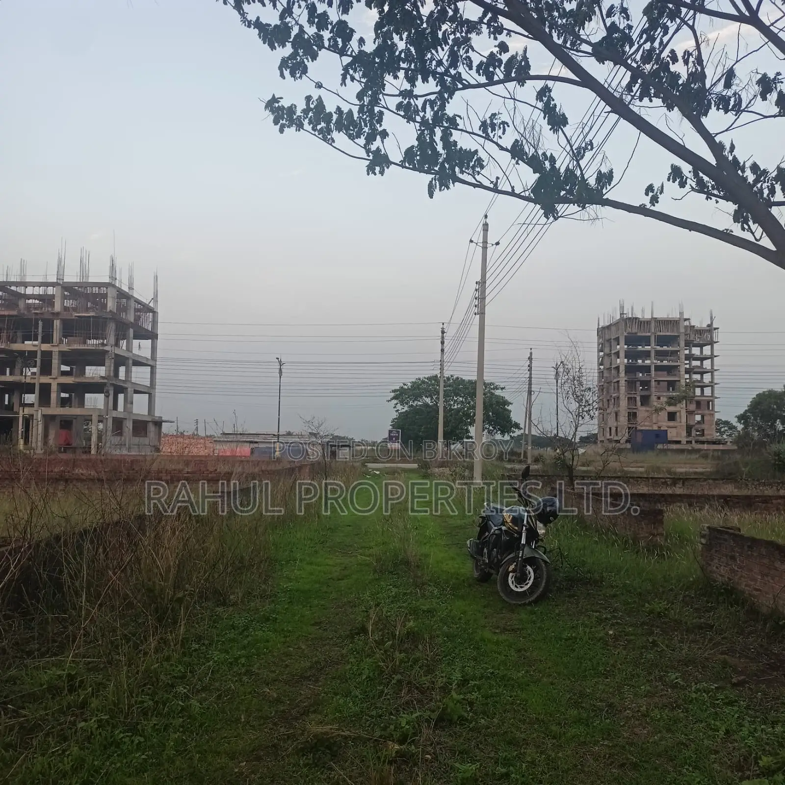 এম ব্লক দক্ষিণমুখী জমি বিক্রি