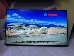 Sony 55 Inch 4K Voice Control TV