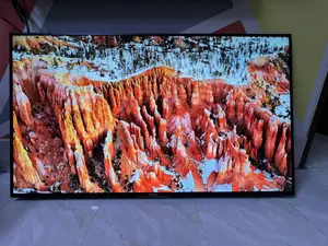 Sony 55 Inch 4K Voice Control TV