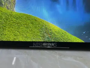 Sony 55 Inch 4K Voice Control TV