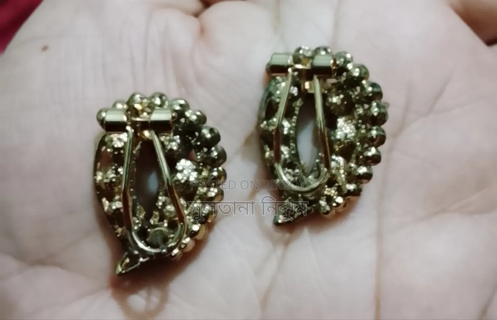 2 Pairs Ear Rings