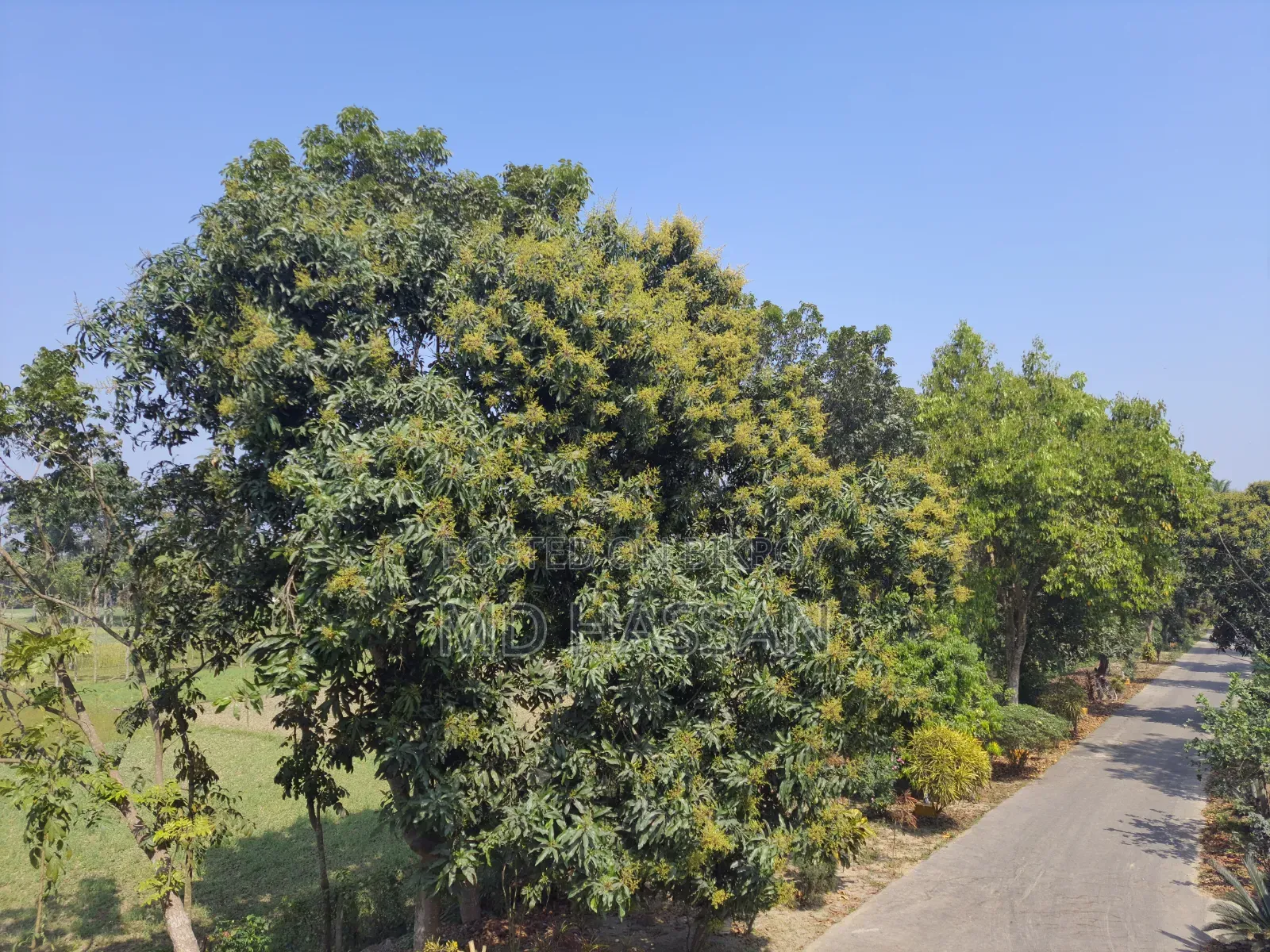 10.46 Acre Ready Poultry Hatchery and Fish Farm Sell