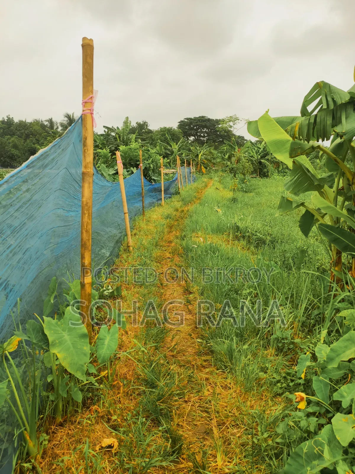 Land area 19.50 decimals. Beside Purbachal 300 Feet Sector 2.