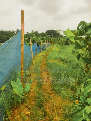 Land area 19.50 decimals. Beside Purbachal 300 Feet Sector 2.