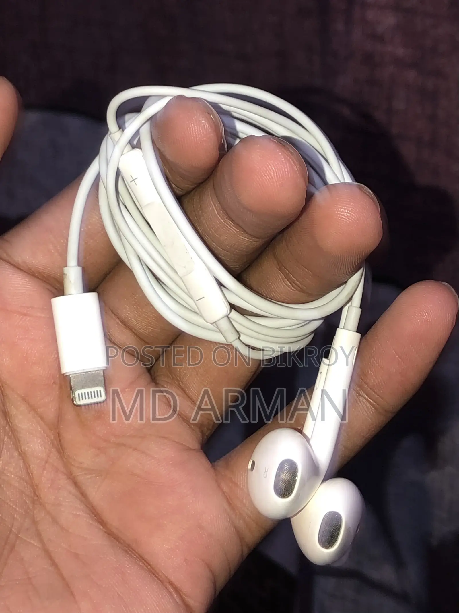 Apple Original Earphones