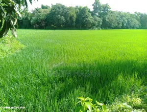Gazipur land for sale