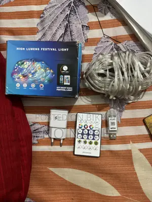অনলি সাম লাইট আর ড্যামেজ