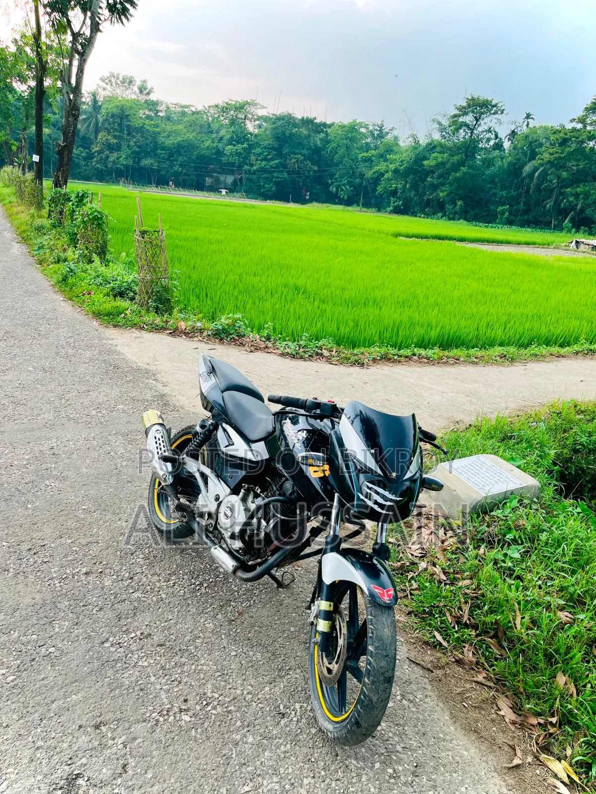 Bajaj Pulsar 150 2021 Black