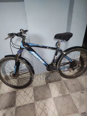 Aluminum Gear Bicycle