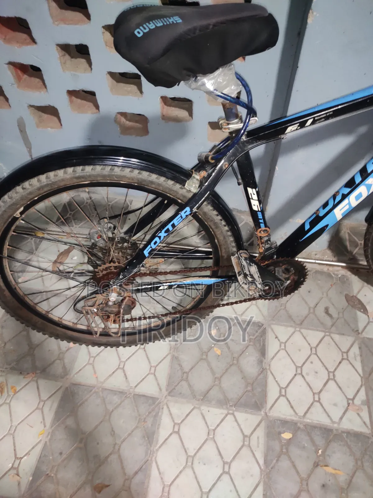 Aluminum Gear Bicycle