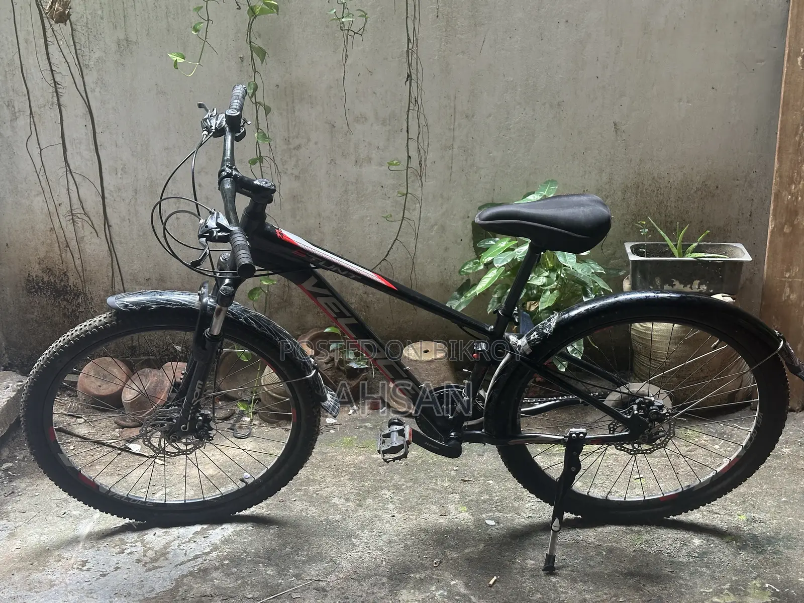 Veloce Bicycle