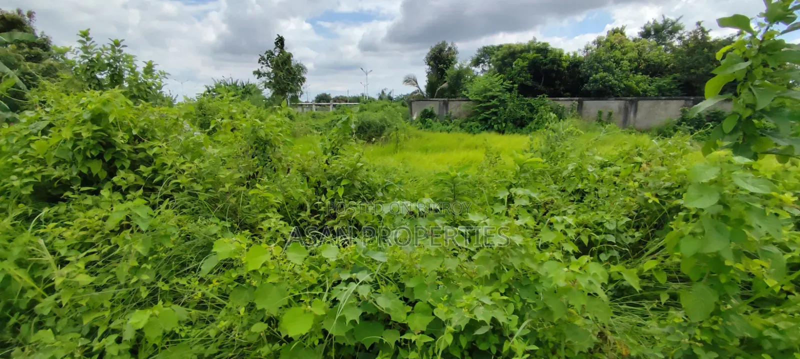 Basundhara P Extension 3 Katha South Plot for Sale